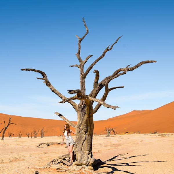 Namibia & Kapstadt: Wild Dunes & Wilder Views