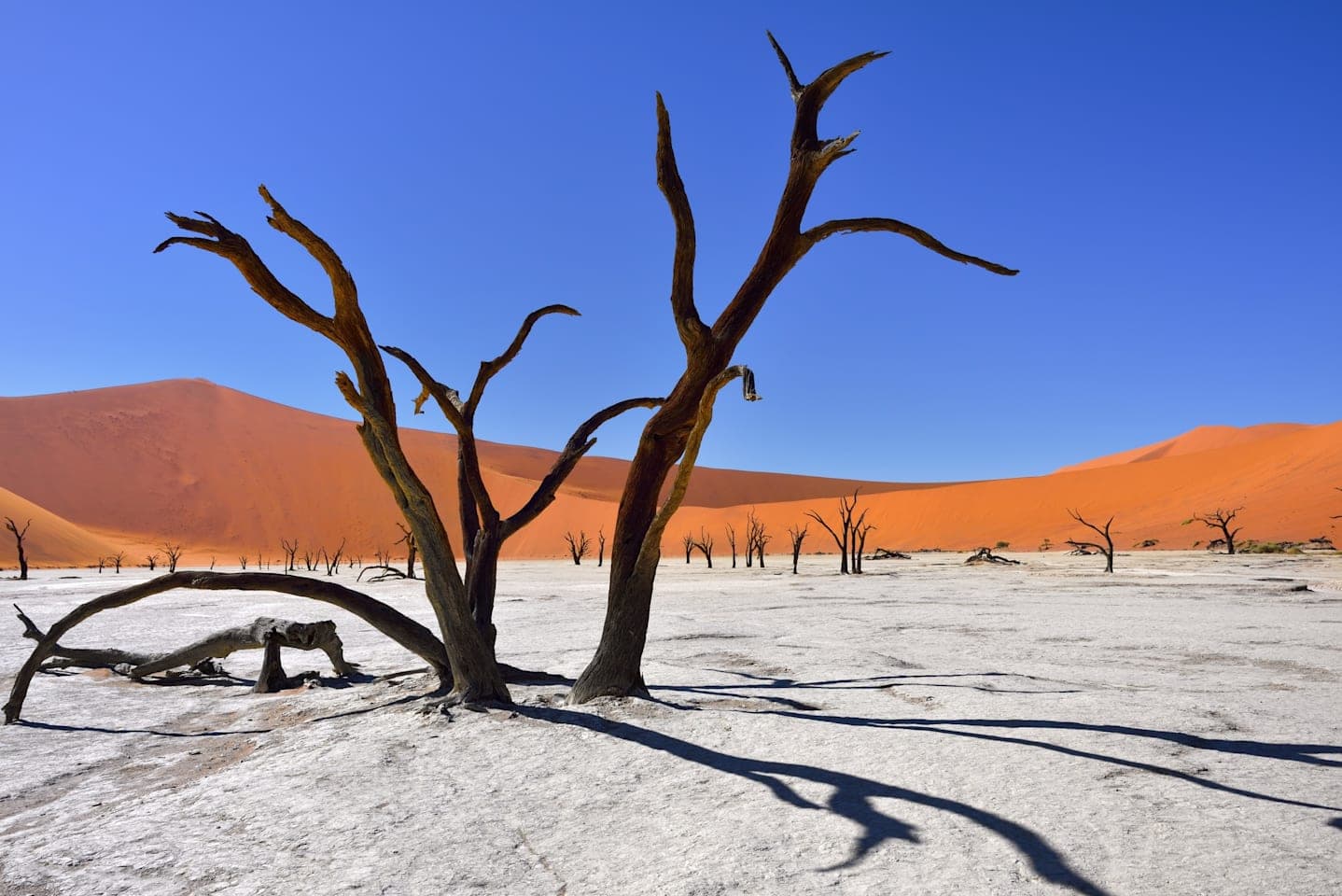Sossusvlei and Deadvlei tour thumbnail