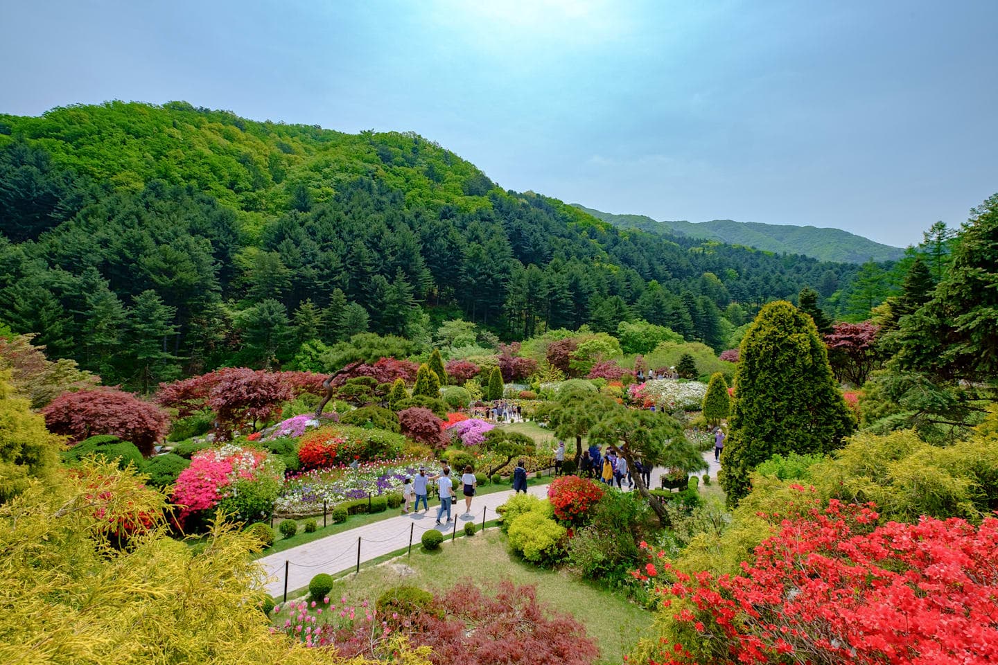 Petite France, Nami Island and the Garden of Morning Calm thumbnail