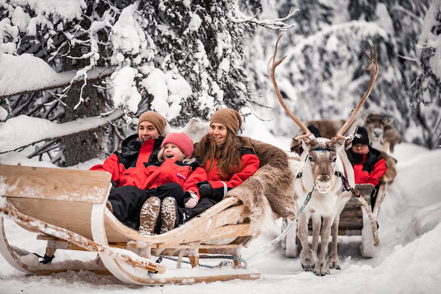 Reindeer sleigh ride and feeding thumbnail