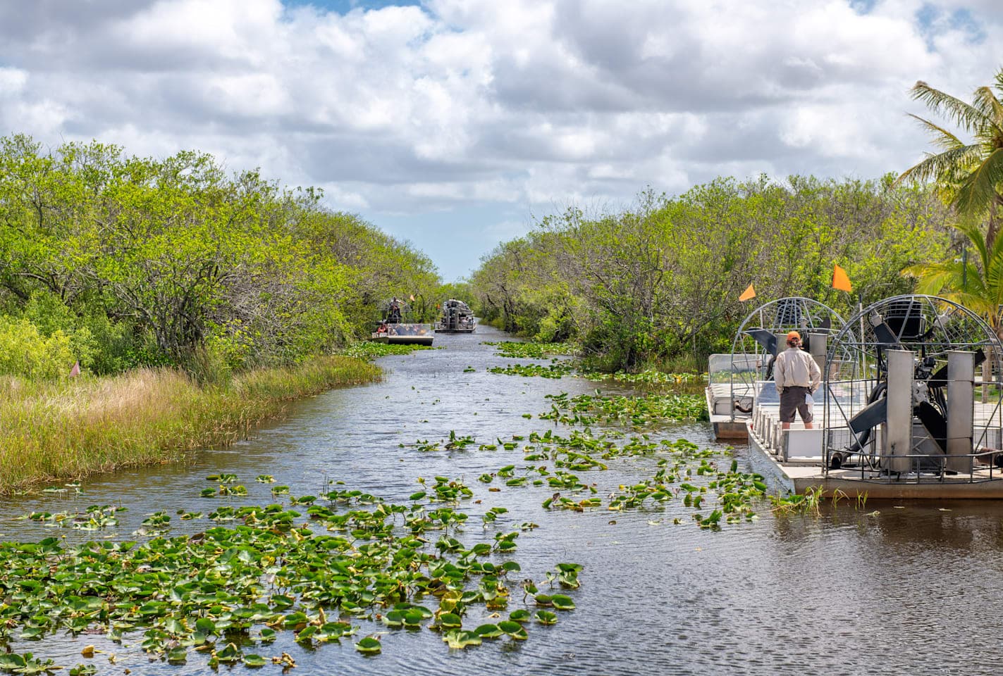 Everglades airboat tour and nature walk thumbnail