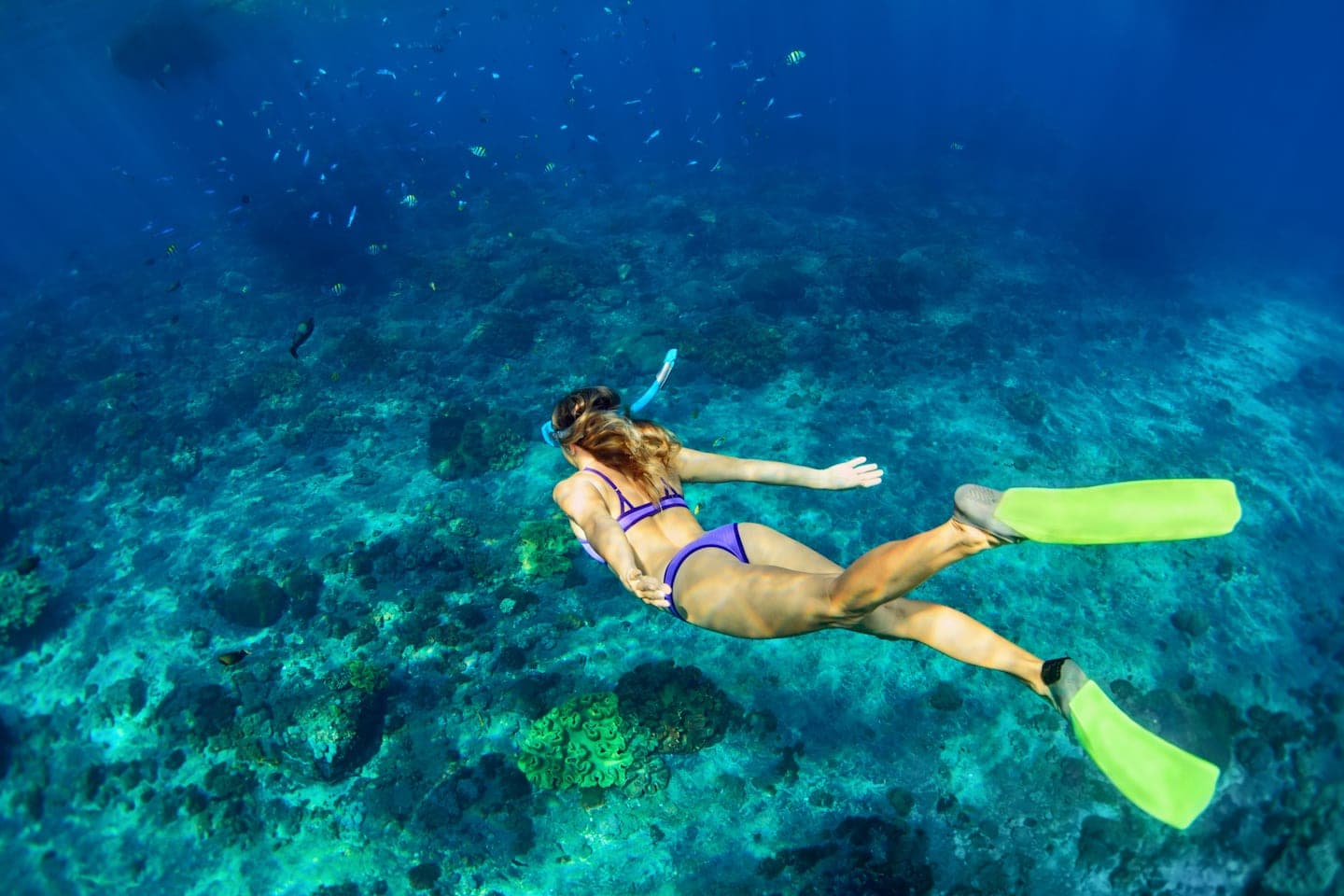 Snorkelling tour to the Cham Islands thumbnail
