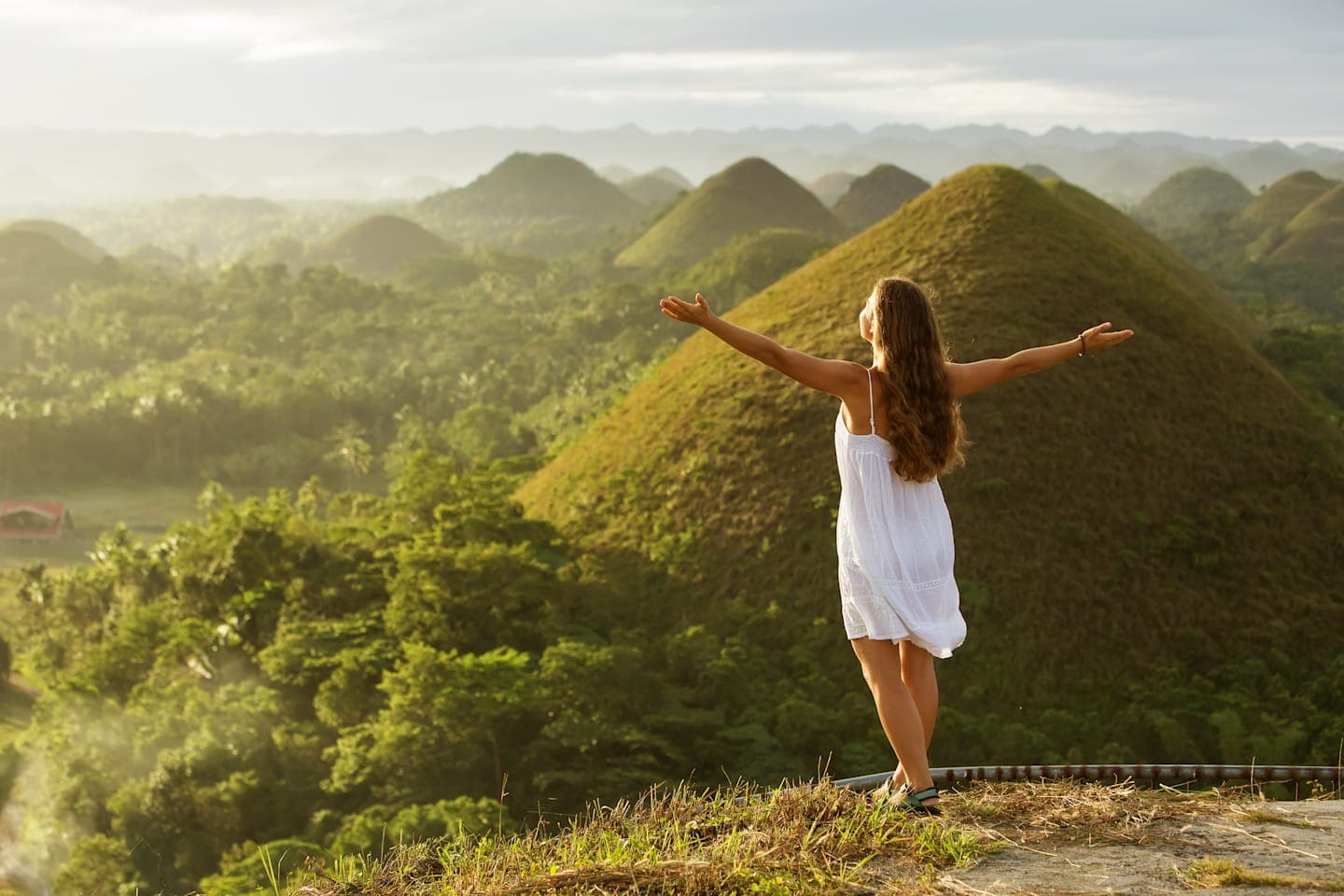 Tour to the Chocolate Hills and Tarsier reserve thumbnail