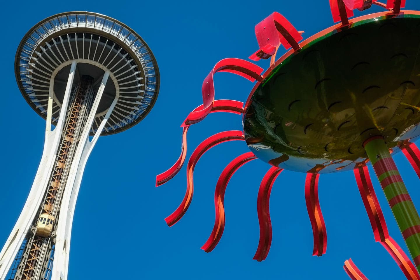 Ticket to the Space Needle and Chihuly Garden and Glass thumbnail