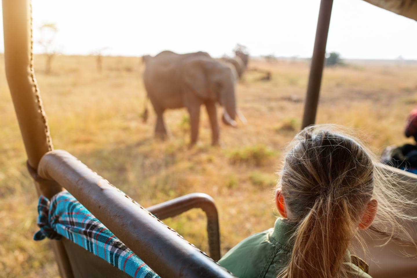 All-day safari through Addo Elephant National Park thumbnail