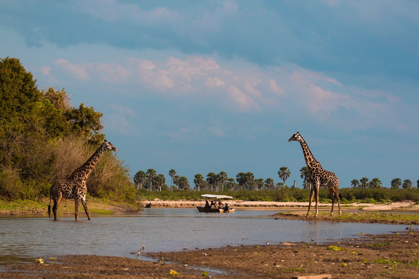 Boat tour on the Rufiji River thumbnail