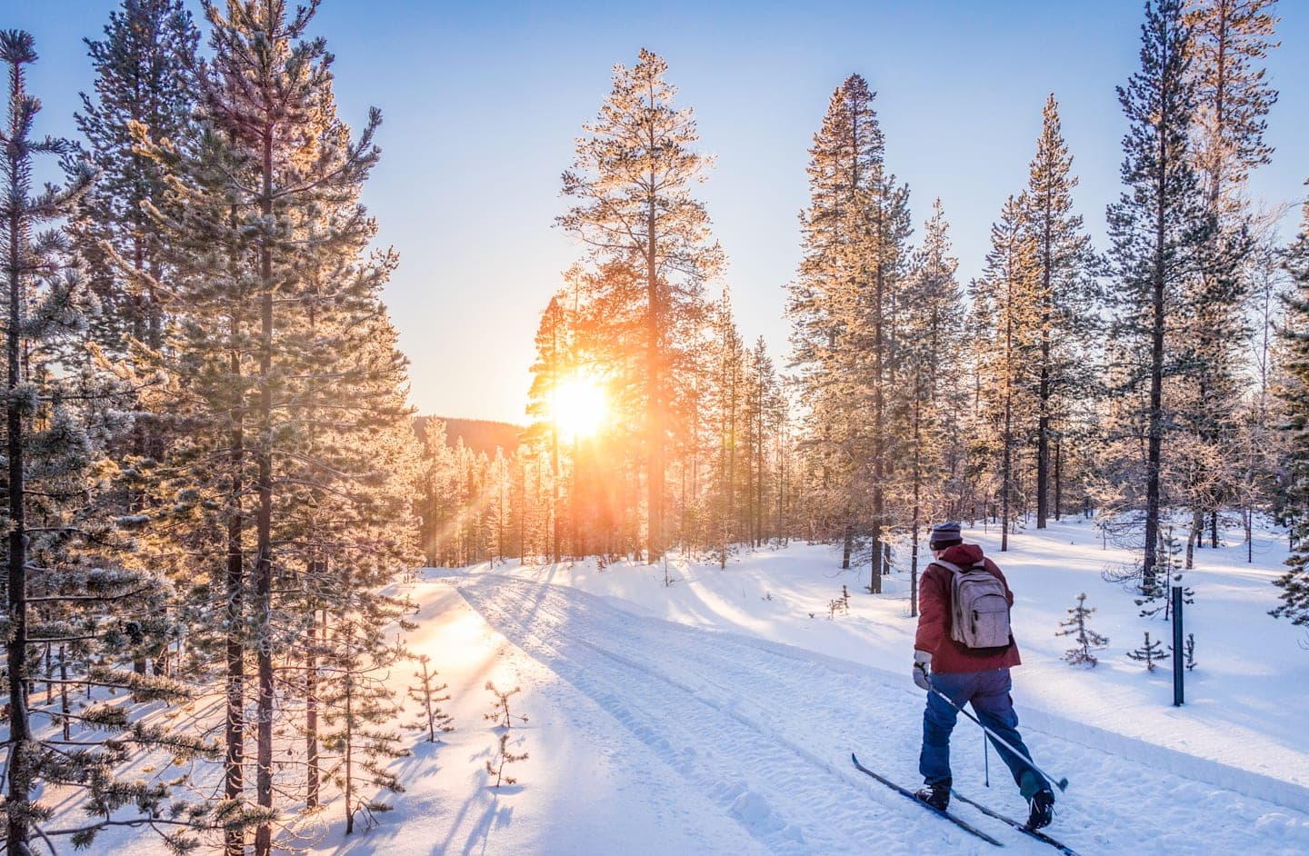 Auf Tourenskiern durch den verschneiten Wald thumbnail
