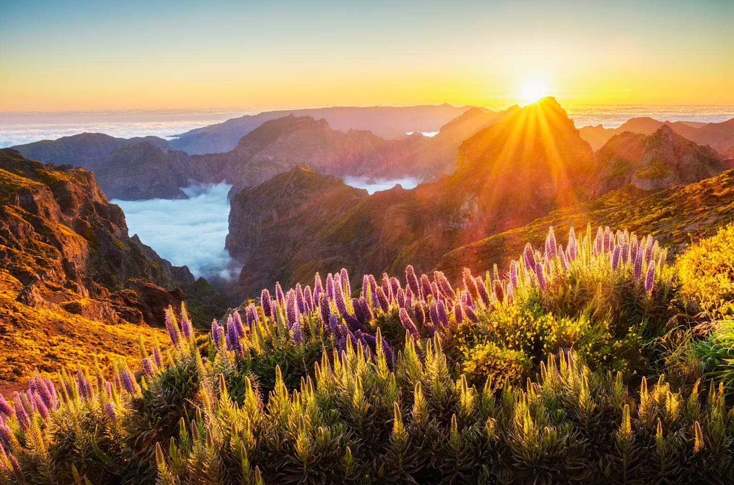 Highlights tour in eastern Madeira thumbnail