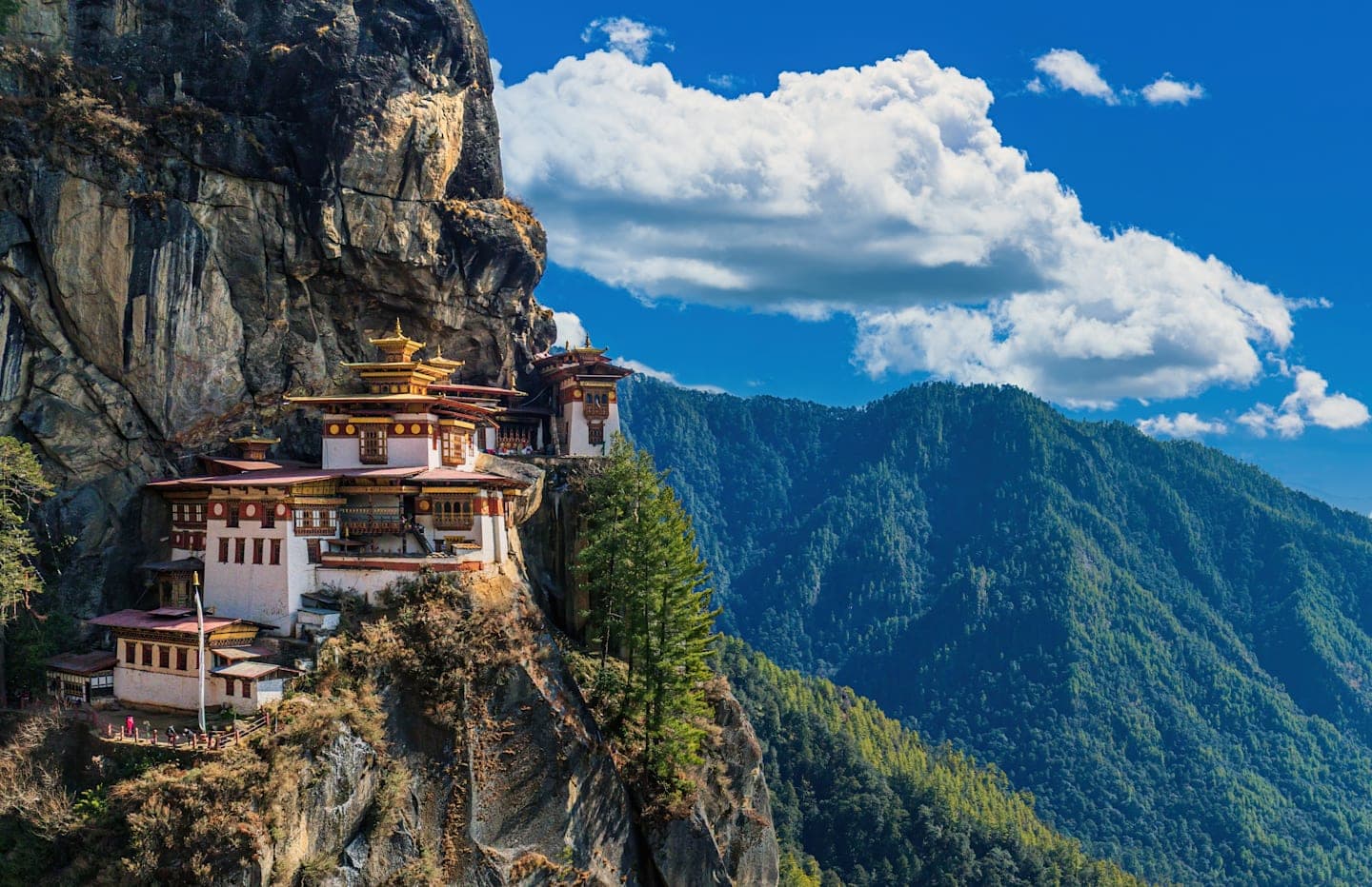 Ganztägige Wanderung zum Taktsang Kloster thumbnail