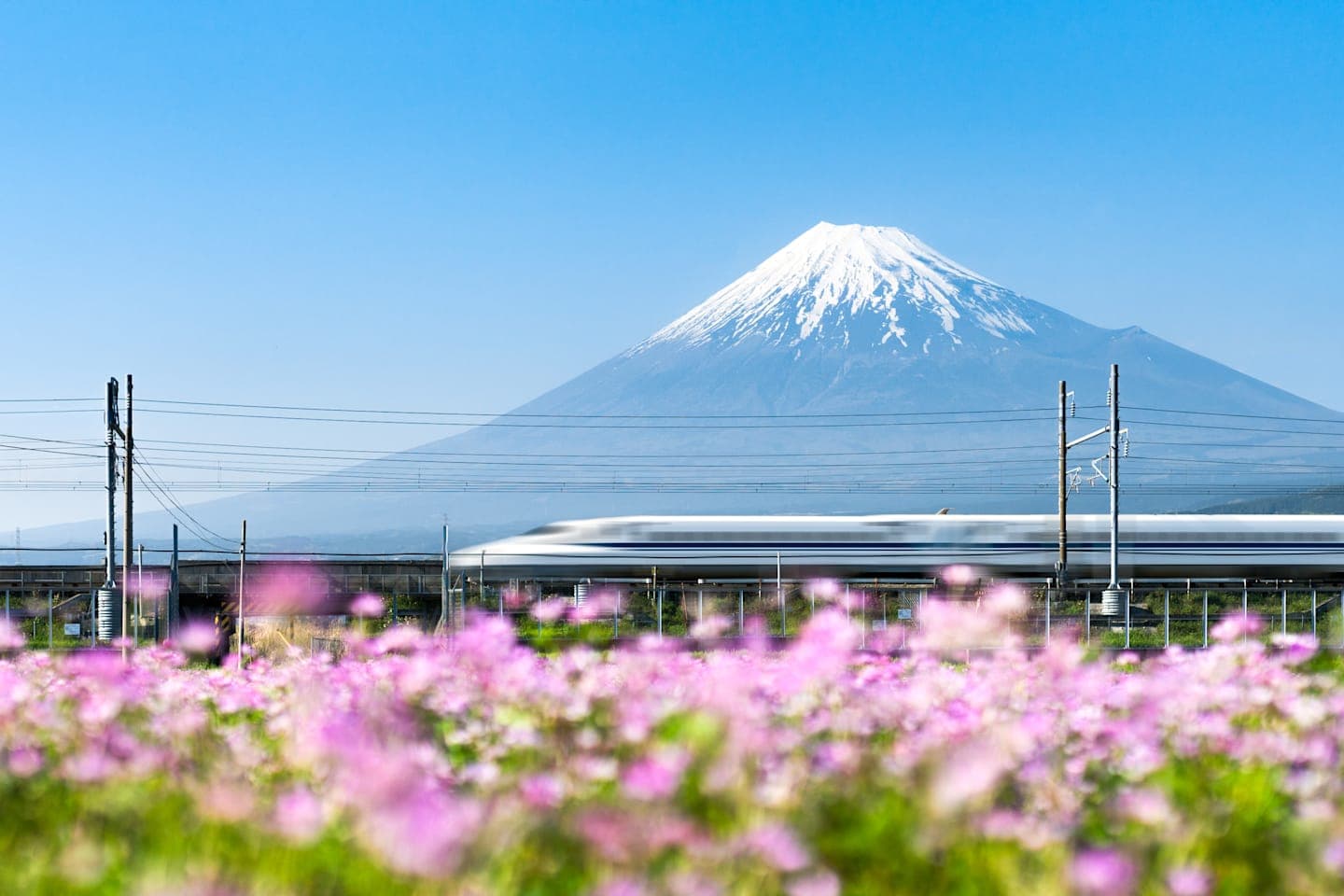 Three-day Fuji Hakone Pass thumbnail
