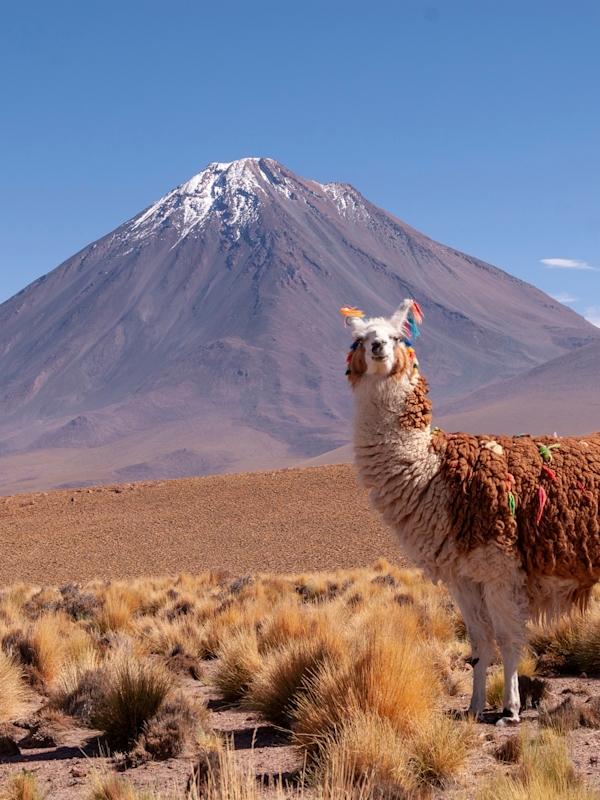 2 for 1 Kolumbien, Peru & Chile