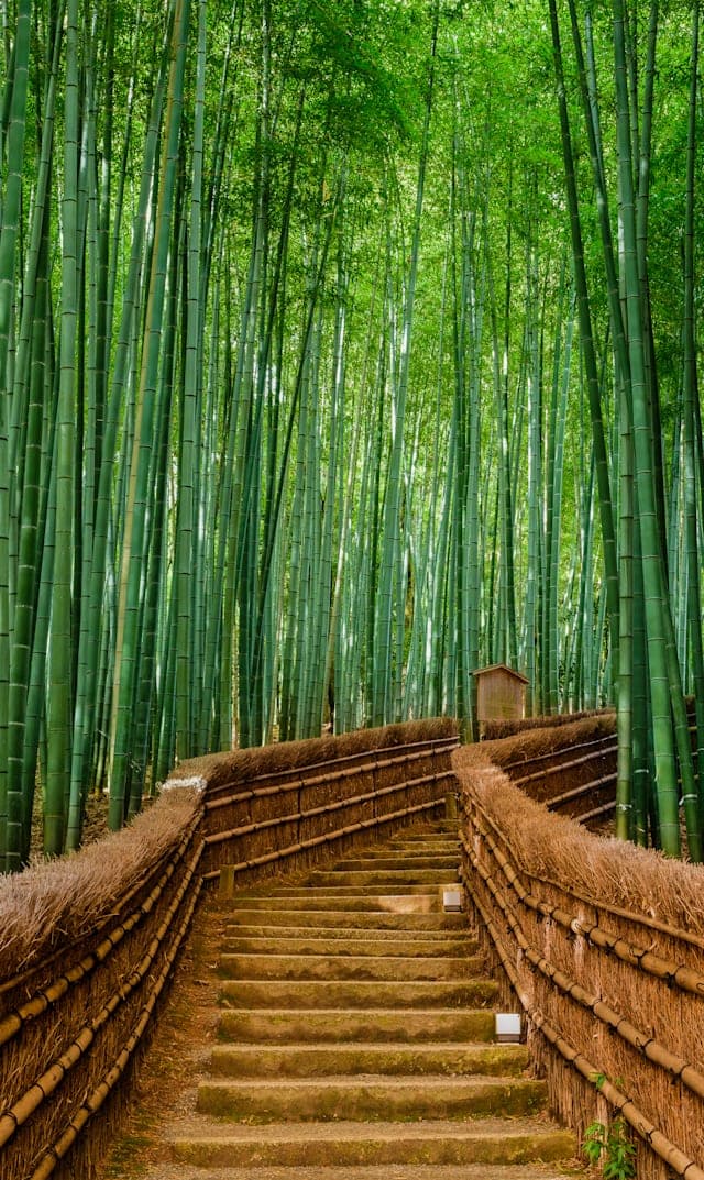 Iconic Japan